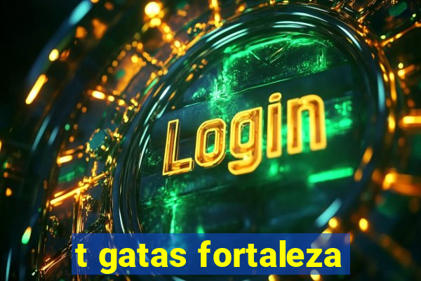 t gatas fortaleza